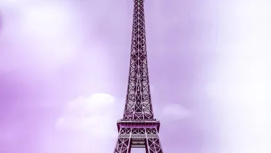 Photo of I migliori fan della torre