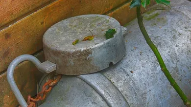 Photo of Le migliori pentole per la cucina: quale acquistare