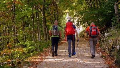 Photo of I migliori bastoncini da trekking